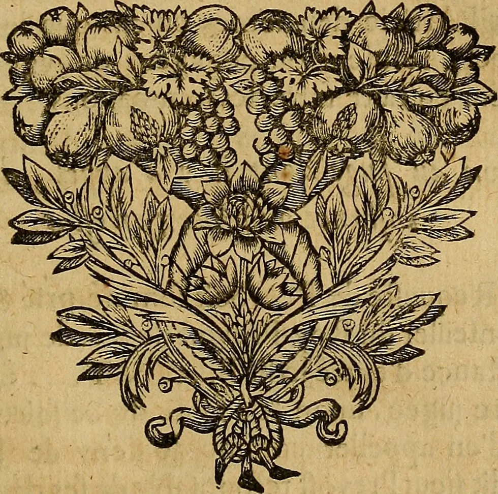 An illustration from Stile universel dresse pour toutes les cours et jurisdictions du royaume : suivant l'ordonnance de Louis XIV ... du mois d'Avril 1667, 1676, leaf 356