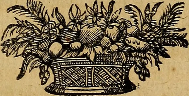 An illustration from Stile universel dresse pour toutes les cours et jurisdictions du royaume : suivant l'ordonnance de Louis XIV ... du mois d'Avril 1667, 1676, leaf 358
