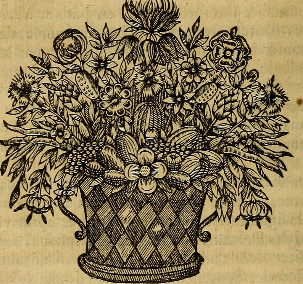 An illustration from Stile universel dresse pour toutes les cours et jurisdictions du royaume : suivant l'ordonnance de Louis XIV ... du mois d'Avril 1667, 1676, leaf 393