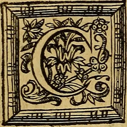An illustration from Stile universel dresse pour toutes les cours et jurisdictions du royaume : suivant l'ordonnance de Louis XIV ... du mois d'Avril 1667, 1676, leaf 417