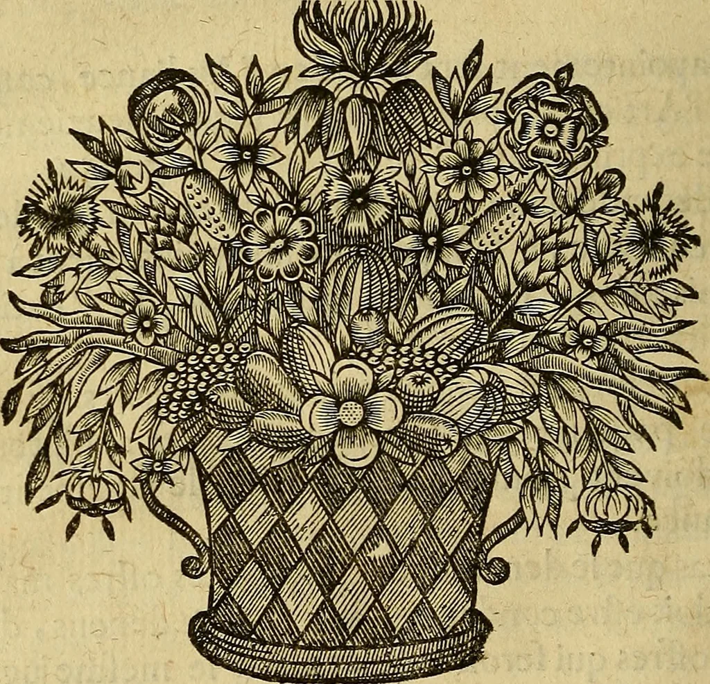 An illustration from Stile universel dresse pour toutes les cours et jurisdictions du royaume : suivant l'ordonnance de Louis XIV ... du mois d'Avril 1667, 1676, leaf 443