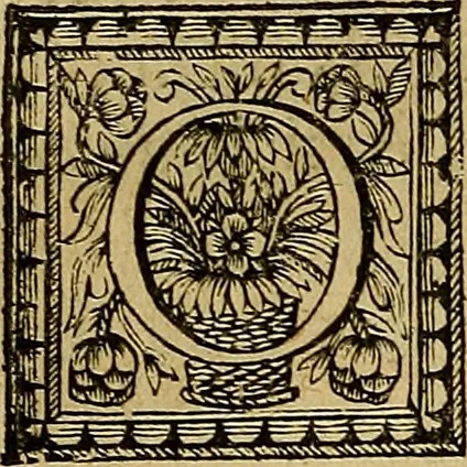 An illustration from Stile universel dresse pour toutes les cours et jurisdictions du royaume : suivant l'ordonnance de Louis XIV ... du mois d'Avril 1667, 1676, leaf 83