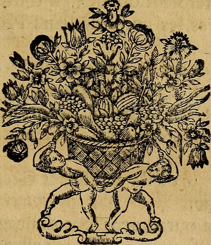 An illustration from Stile universel dresse pour toutes les cours et jurisdictions du royaume : suivant l'ordonnance de Louis XIV ... du mois d'Avril 1667, 1676, leaf 86