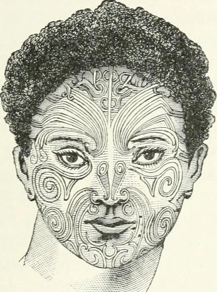 An illustration from Stilfragen : Grundlegungen zu einer Geschichte der Ornamentik, 1893, leaf 102
