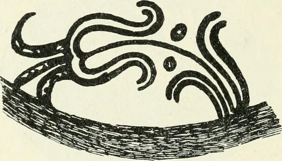 An illustration from Stilfragen : Grundlegungen zu einer Geschichte der Ornamentik, 1893, leaf 141