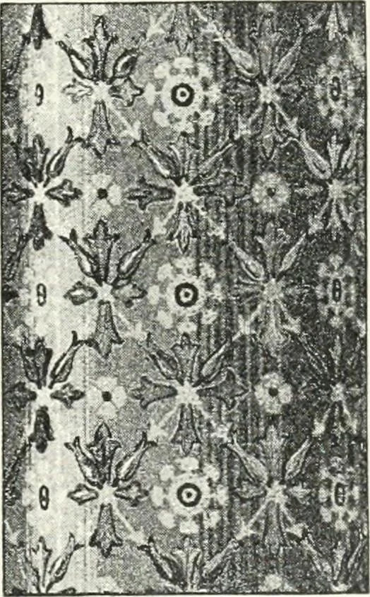 An illustration from Stilfragen : Grundlegungen zu einer Geschichte der Ornamentik, 1893, leaf 336