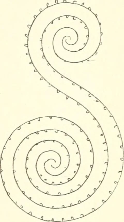 An illustration from Stilfragen : Grundlegungen zu einer Geschichte der Ornamentik, 1893, leaf 100