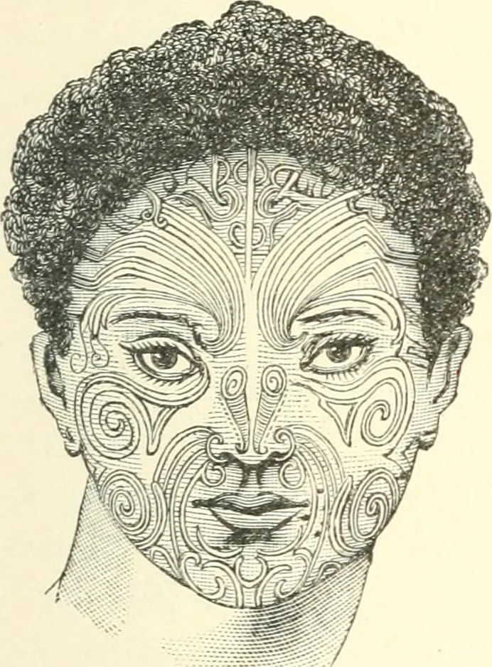 An illustration from Stilfragen : Grundlegungen zu einer Geschichte der Ornamentik, 1893, leaf 102