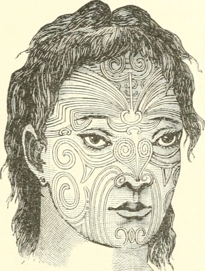 An illustration from Stilfragen : Grundlegungen zu einer Geschichte der Ornamentik, 1893, leaf 102