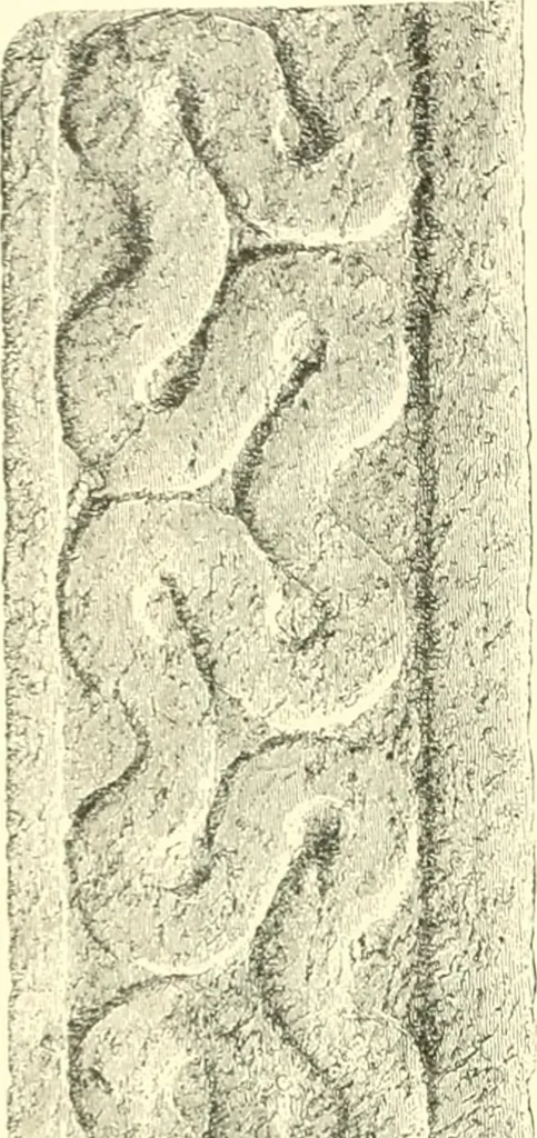 An illustration from Stilfragen : Grundlegungen zu einer Geschichte der Ornamentik, 1893, leaf 163