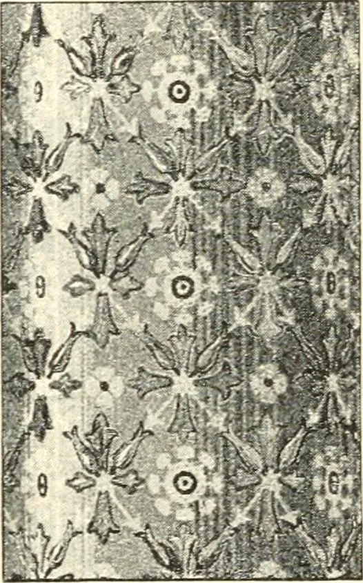 An illustration from Stilfragen : Grundlegungen zu einer Geschichte der Ornamentik, 1893, leaf 336