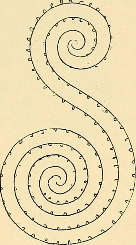 An illustration from Stilfragen : Grundlegungen zu einer Geschichte der Ornamentik, 1893, leaf 100