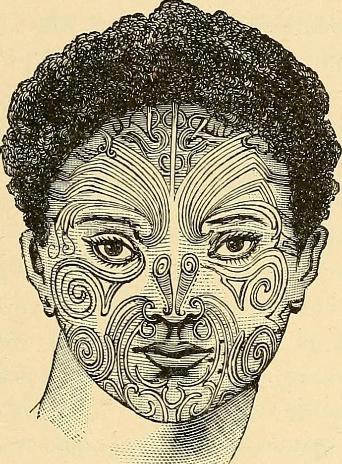 An illustration from Stilfragen : Grundlegungen zu einer Geschichte der Ornamentik, 1893, leaf 102