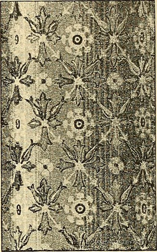 An illustration from Stilfragen : Grundlegungen zu einer Geschichte der Ornamentik, 1893, leaf 336