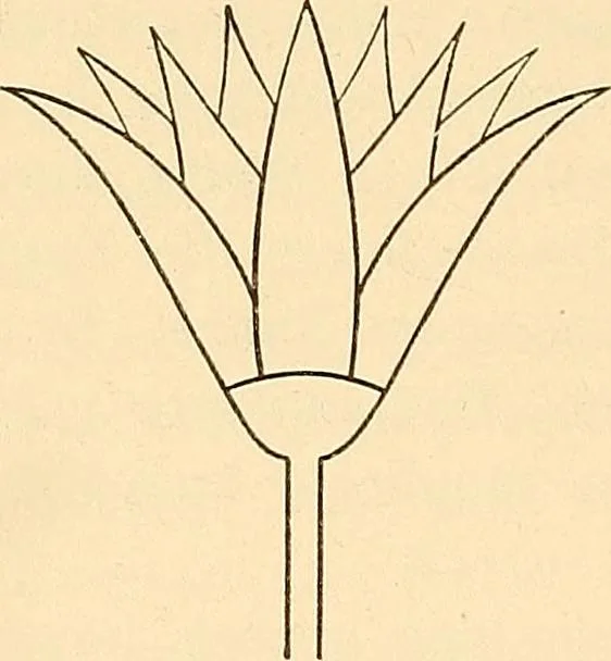 An illustration from Stilfragen : Grundlegungen zu einer Geschichte der Ornamentik, 1893, leaf 71
