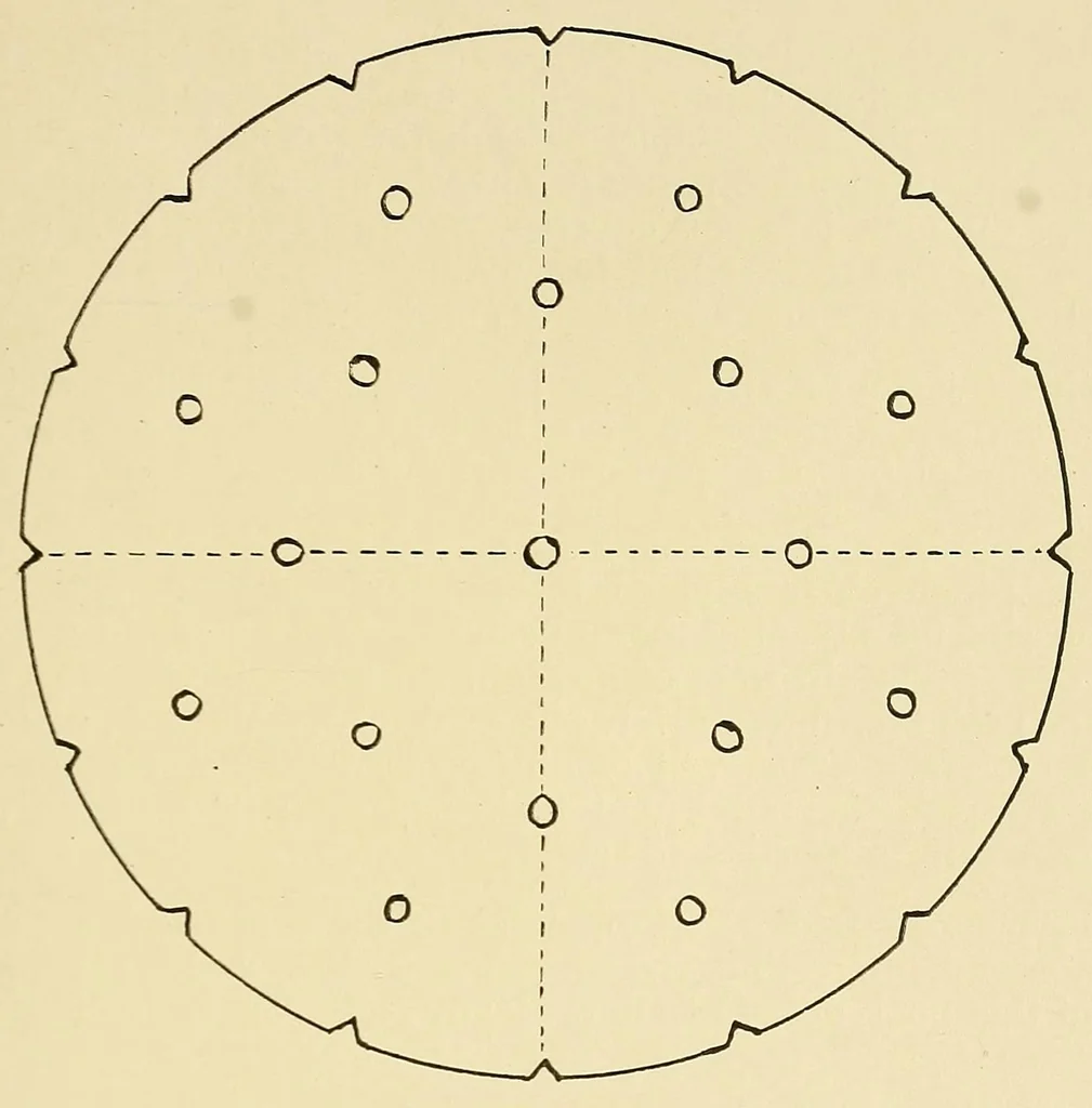 An illustration from Stitch patterns & design for embroidery, 1929, leaf 17
