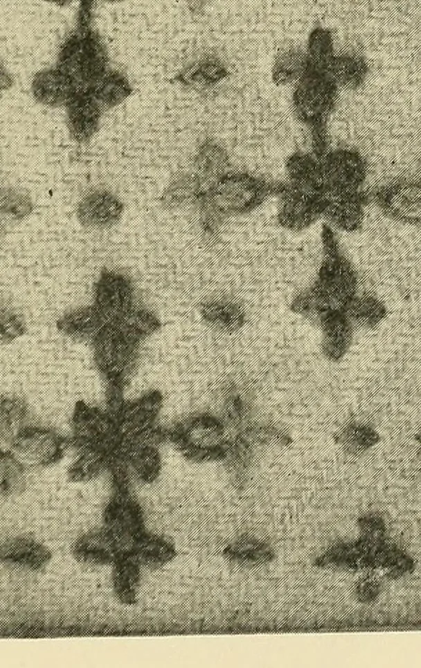 An illustration from Stitch patterns & design for embroidery, 1929, leaf 33