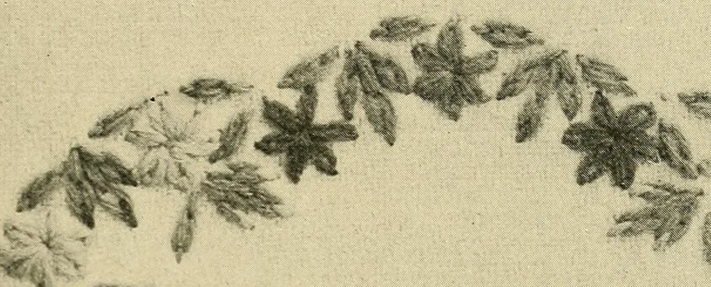 An illustration from Stitch patterns & design for embroidery, 1929, leaf 45
