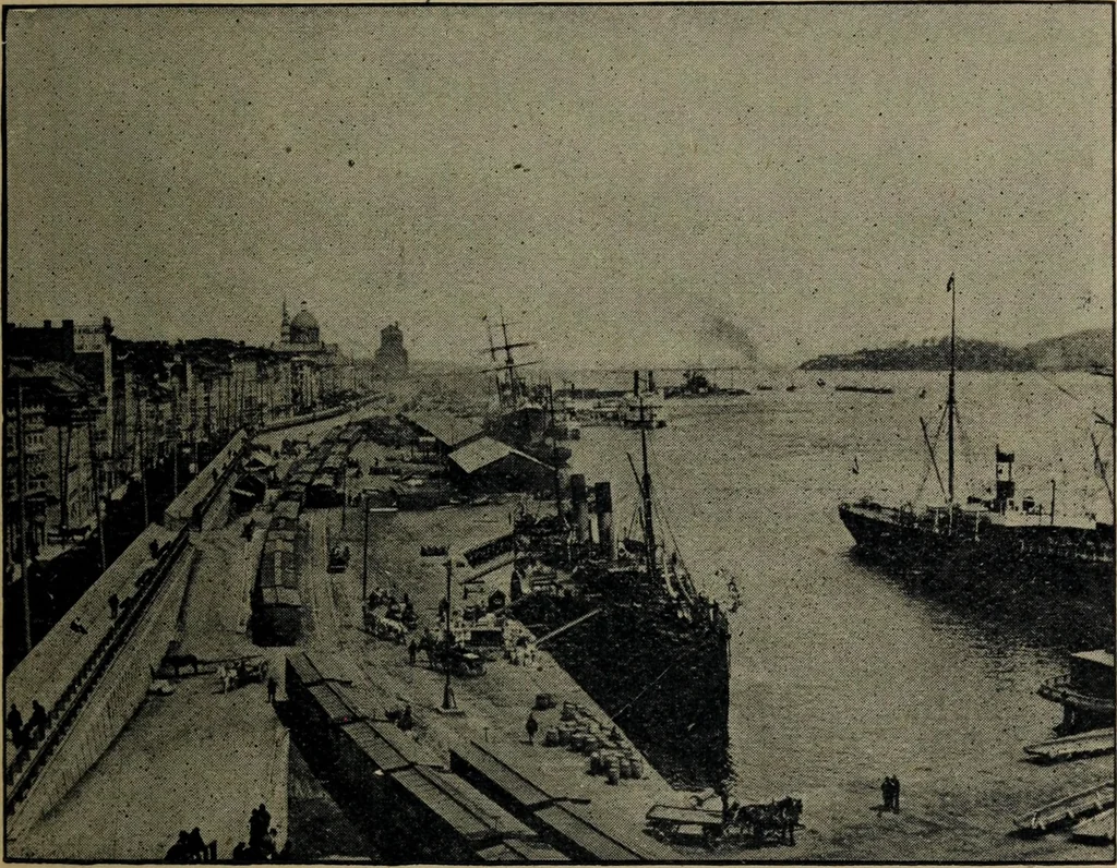 An illustration from St. James Hotel - two blocks from C.P.R. Depot, opposite G.T.R. depot, 1905, leaf 14