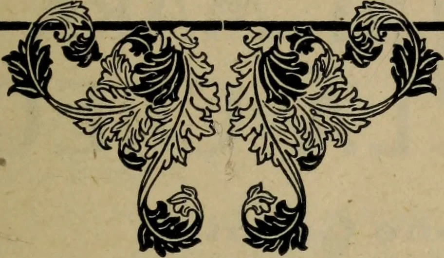 An illustration from St. James Hotel - two blocks from C.P.R. Depot, opposite G.T.R. depot, 1905, leaf 4