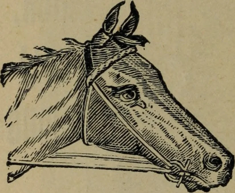 An illustration from St. James Hotel - two blocks from C.P.R. Depot, opposite G.T.R. depot, 1905, leaf 47