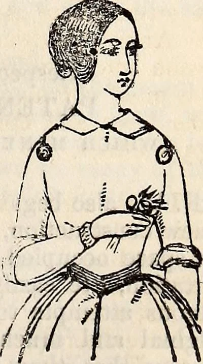 An illustration from The St. James's magazine, and heraldic and historical register, 1850, leaf 12