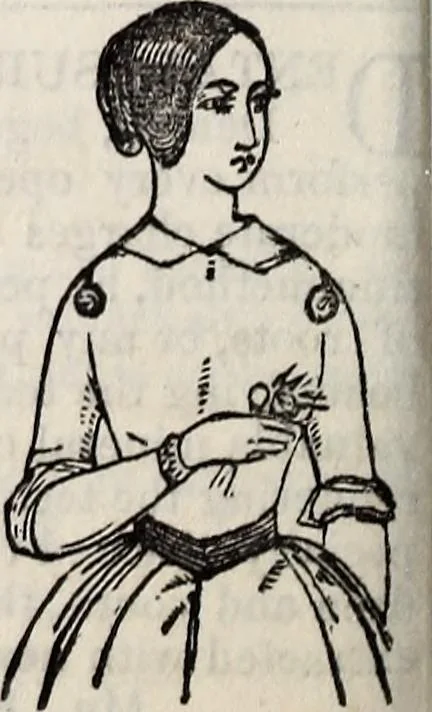 An illustration from The St. James's magazine, and heraldic and historical register, 1850, leaf 293