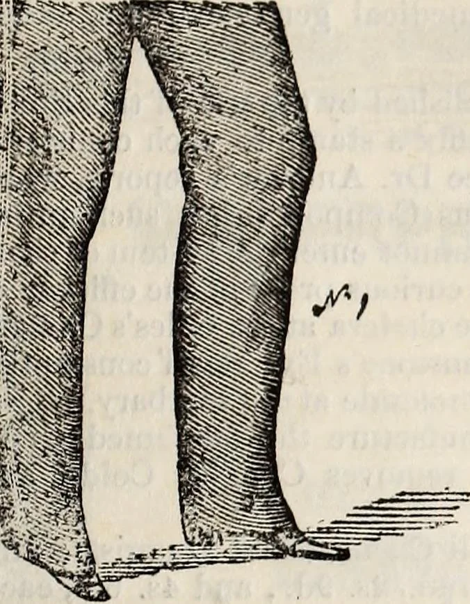 An illustration from The St. James's magazine, and heraldic and historical register, 1850, leaf 414