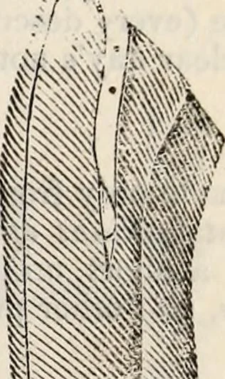 An illustration from The St. James's magazine, and heraldic and historical register, 1850, leaf 416