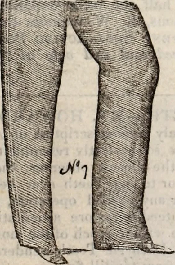 An illustration from The St. James's magazine, and heraldic and historical register, 1850, leaf 548