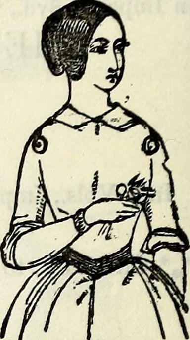 An illustration from The St. James's magazine, and heraldic and historical register, 1850, leaf 125