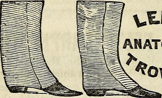 An illustration from The St. James's magazine, and heraldic and historical register, 1850, leaf 391
