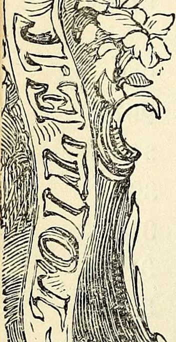 An illustration from The St. James's magazine, and heraldic and historical register, 1850, leaf 395