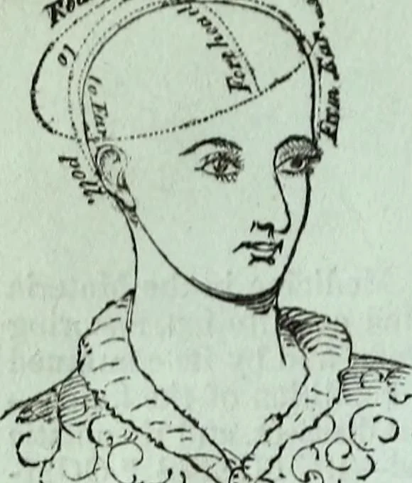 An illustration from The St. James's magazine, and heraldic and historical register, 1850, leaf 500