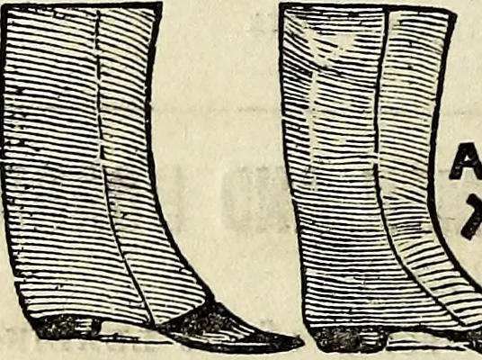 An illustration from The St. James's magazine, and heraldic and historical register, 1850, leaf 506