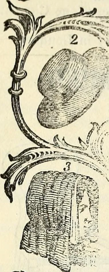 An illustration from The St. James's magazine, and heraldic and historical register, 1850, leaf 622