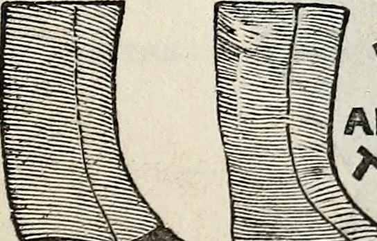 An illustration from The St. James's magazine, and heraldic and historical register, 1850, leaf 623