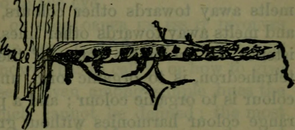 An illustration from St. Mark's rest : the history of Venice written for the help of the few travellers who still care for her monuments, 1885, leaf 574