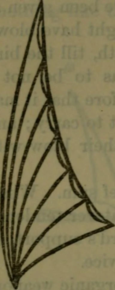 An illustration from St. Mark's rest : the history of Venice written for the help of the few travellers who still care for her monuments, 1885, leaf 621