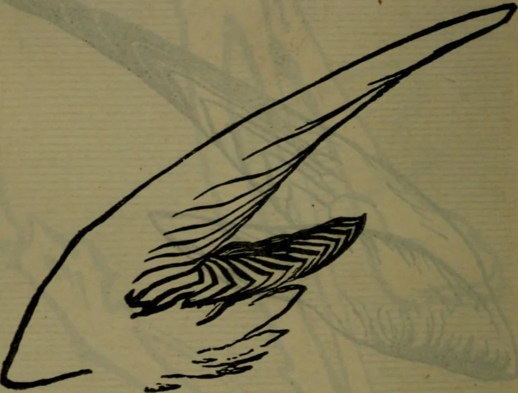 An illustration from St. Mark's rest : the history of Venice written for the help of the few travellers who still care for her monuments, 1885, leaf 627