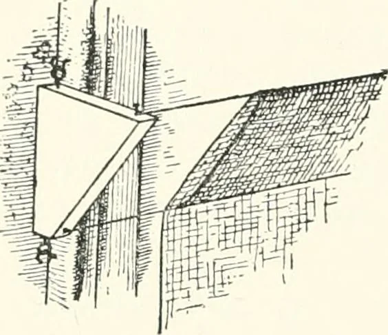 An illustration from St. Nicholas book of plays & operettas, 1905, leaf 97