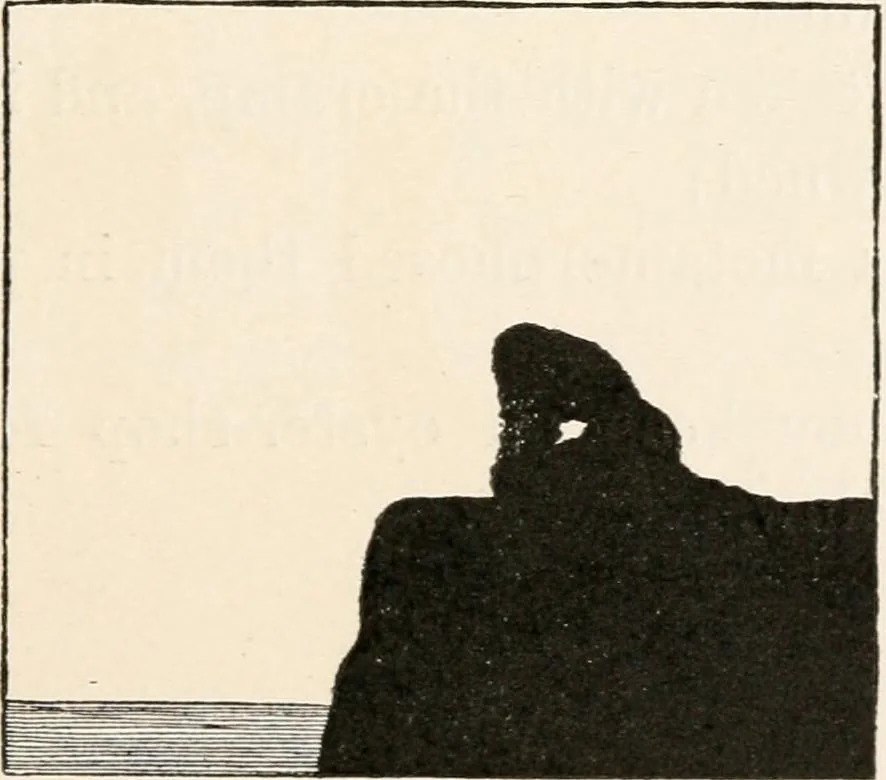 An illustration from St. Nicholas book of plays & operettas, 1900, leaf 102