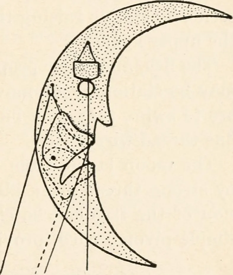 An illustration from St. Nicholas book of plays & operettas, 1900, leaf 94