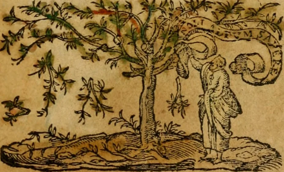 An illustration from Stoicheiosis tes Christianon pisteos = Rudimenta fidei Christianae, siue catechismus : Huic adiunctus nunc est Catechismus alius magis compendarius, 1575, leaf 4