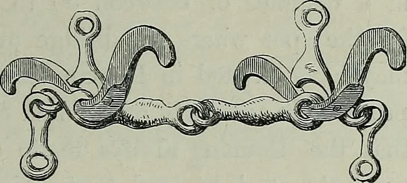 An illustration from Rude stone monuments in all countries : their age and uses, 1872, leaf 106