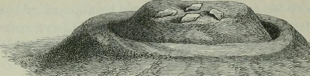 An illustration from Rude stone monuments in all countries : their age and uses, 1872, leaf 197