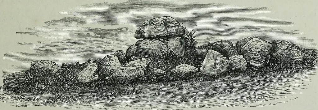 An illustration from Rude stone monuments in all countries : their age and uses, 1872, leaf 208