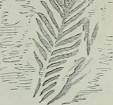 An illustration from Rude stone monuments in all countries : their age and uses, 1872, leaf 232