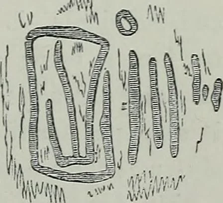 An illustration from Rude stone monuments in all countries : their age and uses, 1872, leaf 232