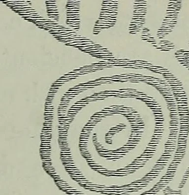 An illustration from Rude stone monuments in all countries : their age and uses, 1872, leaf 236